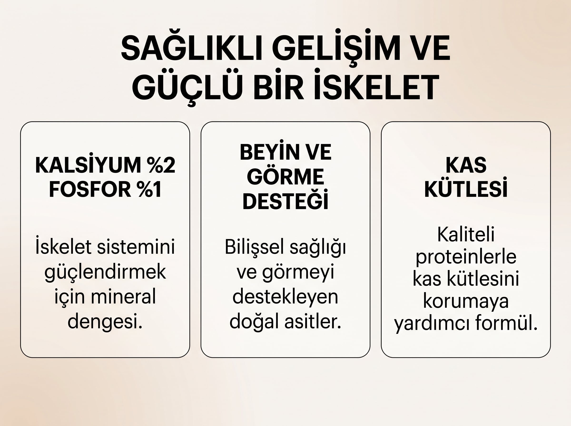 Kemik ve Kas Sağlığı