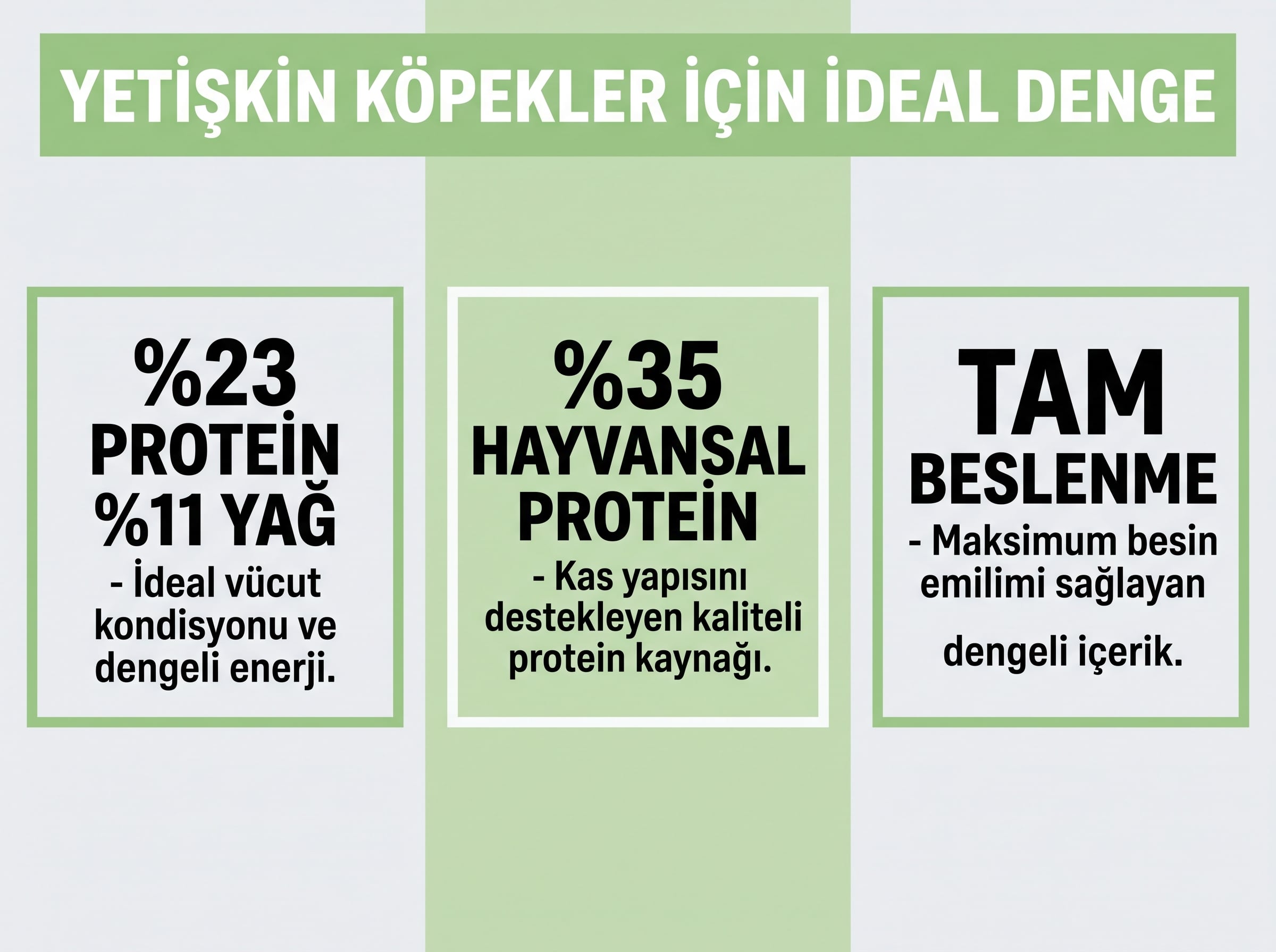 Kemik ve Kas Sağlığı