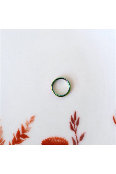 8 mm Hologram Cerrahi Çelik Düz Halka Tragus Piercing Helix Kıkırdak Rook Daith