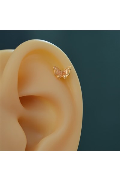 Altın Kelebekli Piercing Çelik Helix Kıkırdak Conch Lob Gold