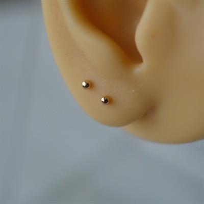 Çelik Rose Gold Top Küpe 2 mm Çift