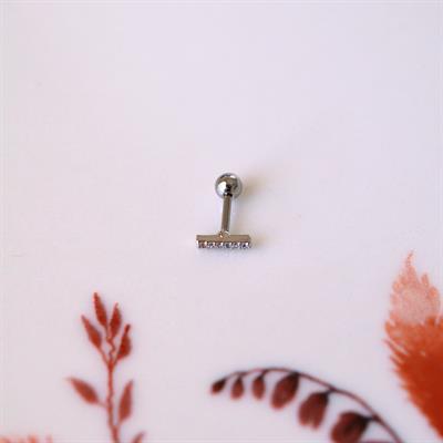 Cerrahi Çelik Düz Çubuk Tragus Piercing Helix Kıkırdak Anti Helix Silver Renk
