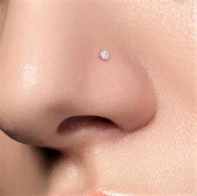 Cerrahi Çelik Silver Renk Tek Taş Burun Piercingi Nostril Screw Çelik Hızma