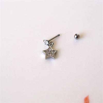 Cerrahi Çelik Yıldız Sallantılı Piercing Helix Kıkırdak Silver Renk