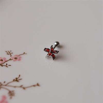 Deniz Yıldızı Helix Piercing Kıkırdak Cerrahi Çelik Gümüş Renk