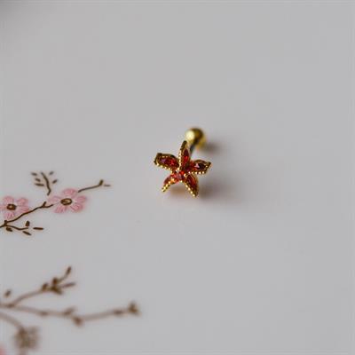 Deniz Yıldızı Helix Piercing Kıkırdak Cerrahi Çelik Gold Renk