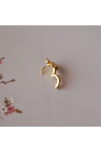 Gold Çelik Kelebek Helix Küpe Helix Piercing Lob