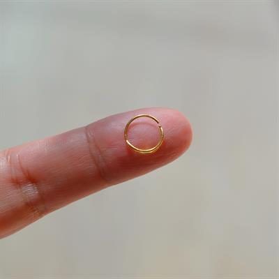 Gümüş Çift Görünümlü Halka Hızma Gold