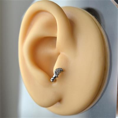 Gümüş Renk Cerrahi Çelik Ay Modelli Halka Tragus Piercing Helix Lob Kıkırdak