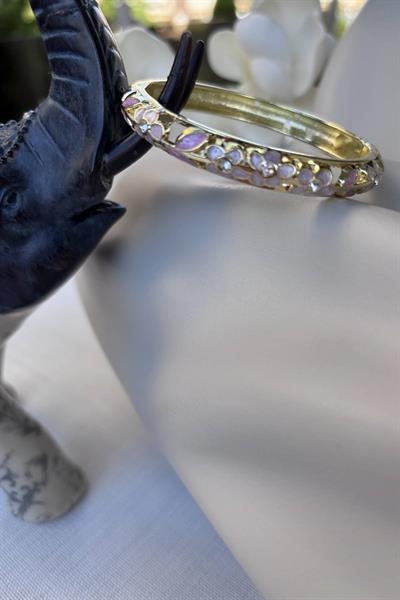 Özel Seri Renk Renk Neşe Kelepçe