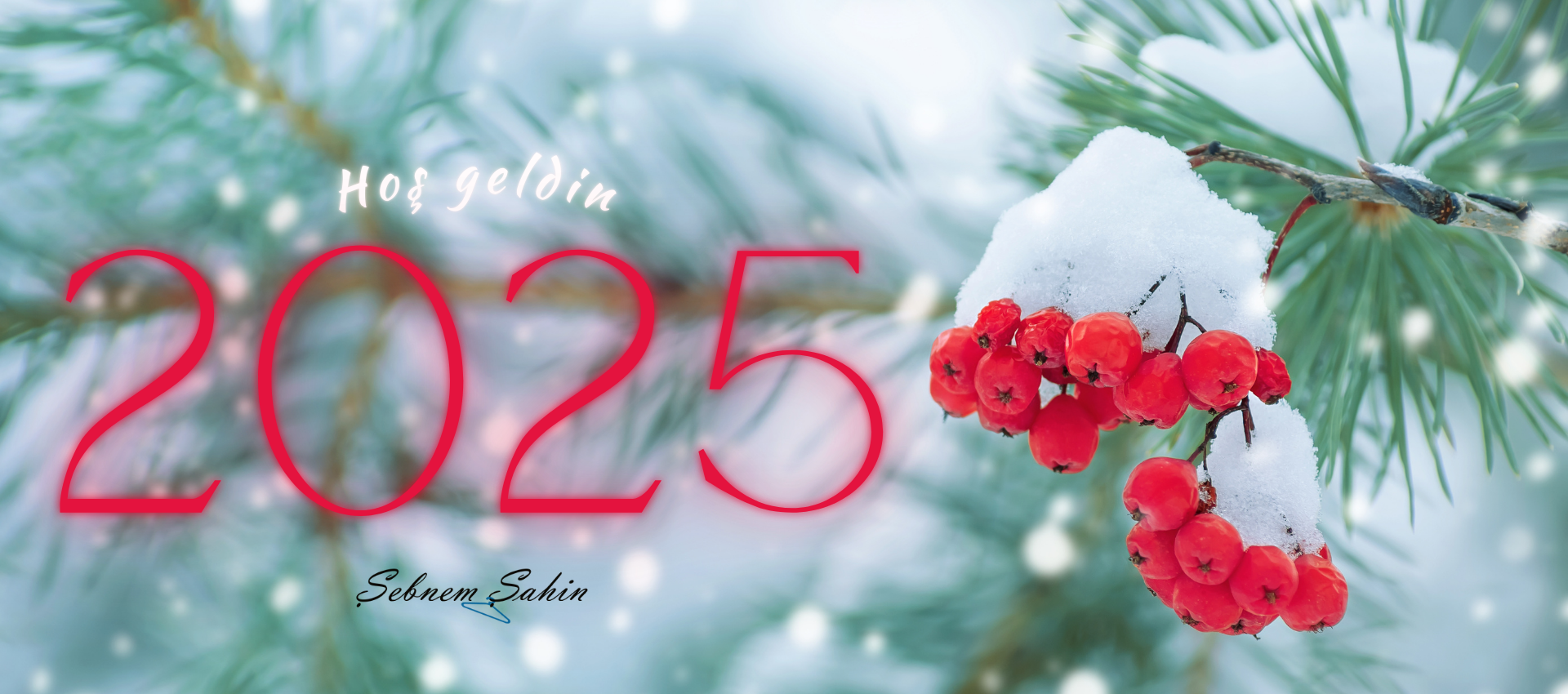 Hoş geldin 2025