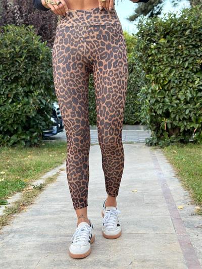 CAMEL LEOPAR YÜKSEK BEL FİTİLLİ LEO TAYT
