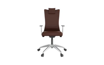 Apex Yönetici Koltuğu