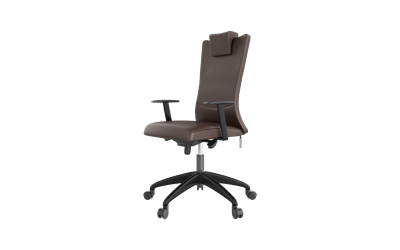 Apex Yönetici Koltuğu