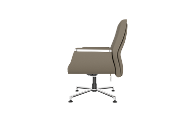 Argent Misafir Koltuğu