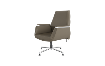 Argent Misafir Koltuğu