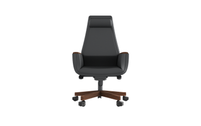 Argent Yönetici Koltuğu