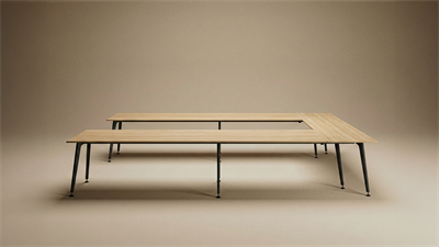 Lux U Toplantı Masa 660X220 cm