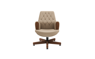 Summit Misafir Koltuğu