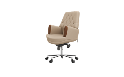 Summit Toplantı Koltuğu