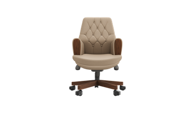 Summit Toplantı Koltuğu