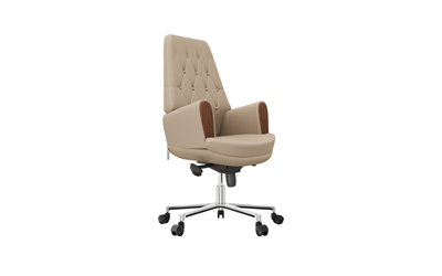 Summit Yönetici Koltuğu