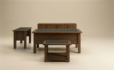 Vega Yönetici Takımı 160X80 cm