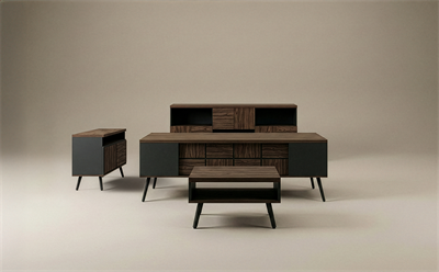 Zenith Yönetici Takımı 220X90 cm