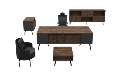 Zenith Yönetici Takımı