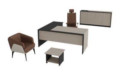 Zenon Çalışma Takımı