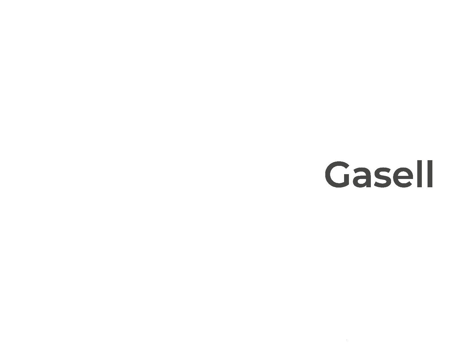 Gasell 2025 Kataloğu kapak