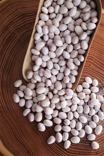 İspir Kuru Fasulye 1 kg – Yöresel Doğal Fasulye
