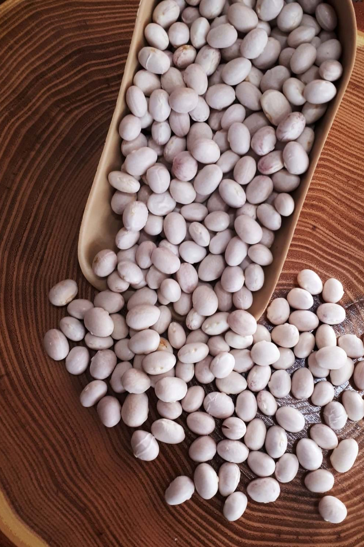 İspir Kuru Fasulye 1 kg – Yöresel Doğal Fasulye