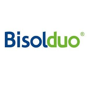 Bisolduo