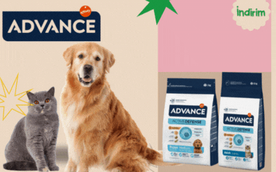Advance Kedi Köpek Maması