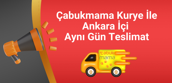 Çabukmama Kurye
