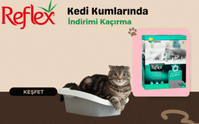 Reflex Kedi Kumları