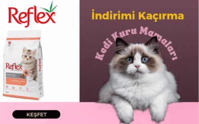 Reflex Kedi Kuru Mamaları