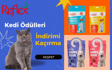 Reflex Kedi Ödülleri