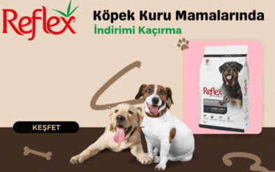 Reflex Köpek Kuru Mamaları