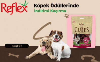 Reflex Köpek Ödülleri