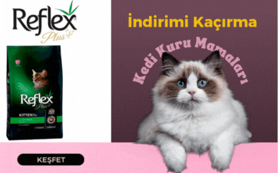 Reflex Plus Kedi Kuru Mamaları