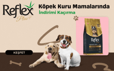 Reflex Plus Köpek Kuru Mamaları