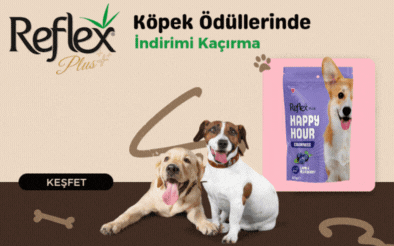Reflex Plus Köpek Ödülleri