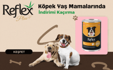 Reflex Plus Köpek Yaş Mamaları