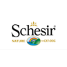 Schesir