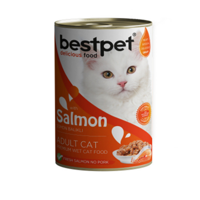 Bestpet Somon Balıklı Yetişkin Kedi Konservesi 400gr