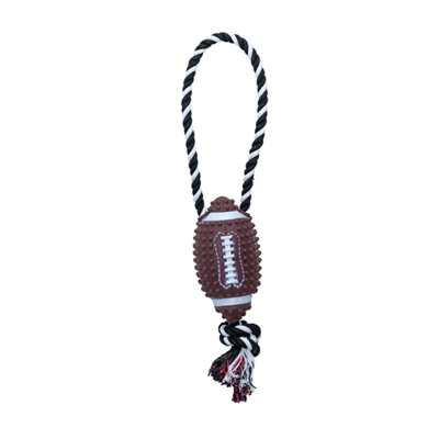 Eastland Plastik İpli Rugby Topu Köpek Oyuncağı  15 Cm