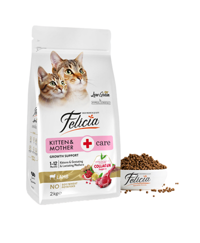 Felicia 2 Kg Kolajenli Kuzulu Az Tahıllı Yavru Kedi Maması HypoAllergenic Kedi Maması