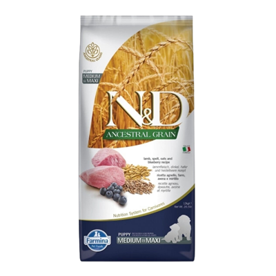 N&D Ancestral Grain Kuzu Etli Yaban Mersinli Orta ve Büyük Irk Ata Tahıllı Yavru Köpek Maması 12kg